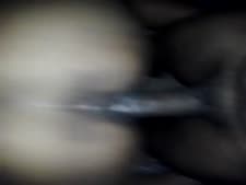 سكس رجال مع حمير وخيول