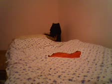 تحميل.مقاطع.سكس.مناسبه.للجوال